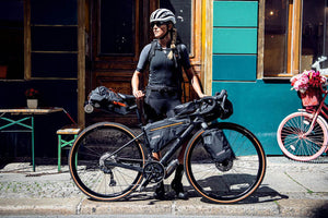 Ortlieb Frame Pack