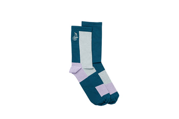 Campagnolo Become Speed Socken